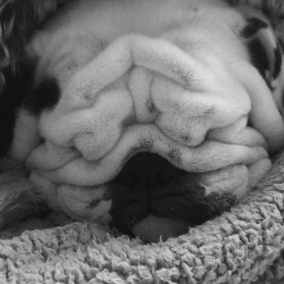 Meet your Posher, Jordynn - Picture 13 of 15